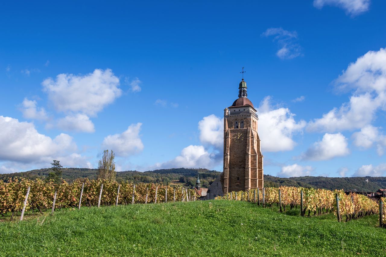 Communes Arbois Eglise Saint Just WKF_8440
